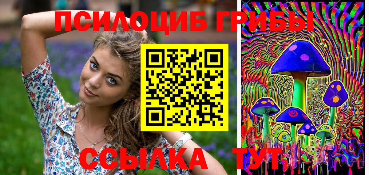 купить  сайты  Галлюциногенные грибы мухоморы  Вход с VPN  Кизляр 