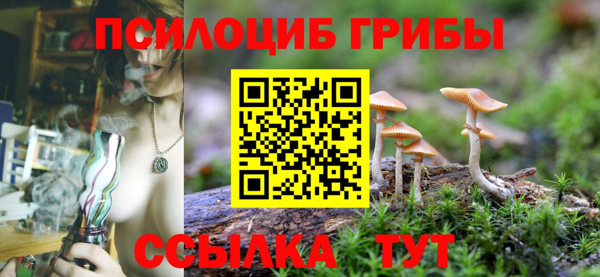 Галлюциногенные грибы Cubensis Кизляр